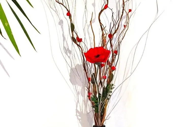 Casa Campetto غييكا